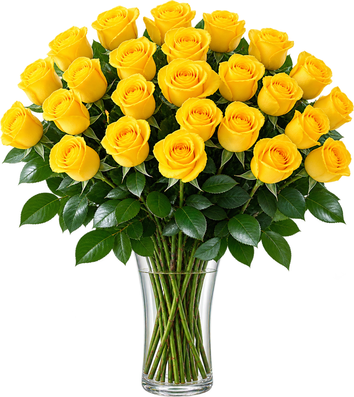 Two Dozen Yellow Roses