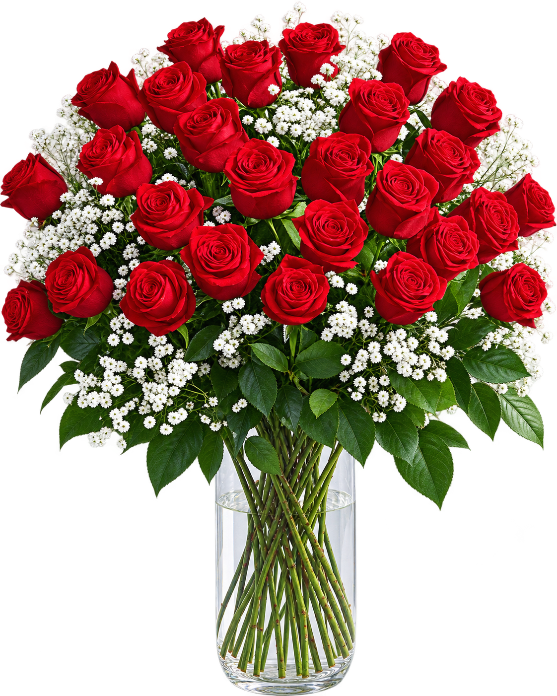 Caring Roses