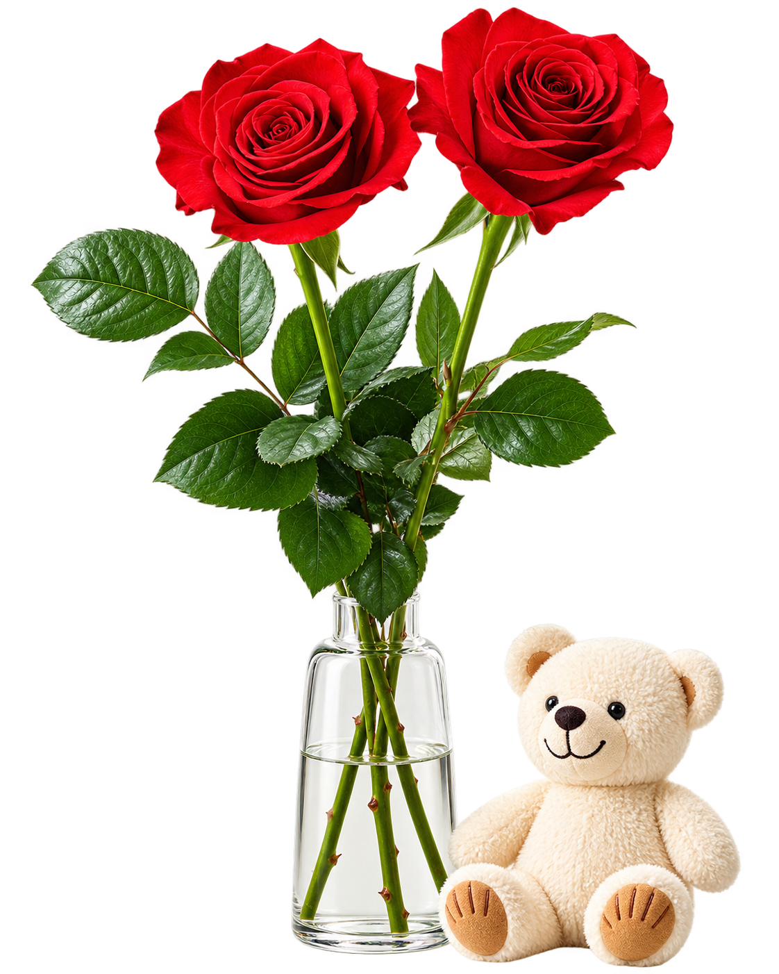 Beary Loving