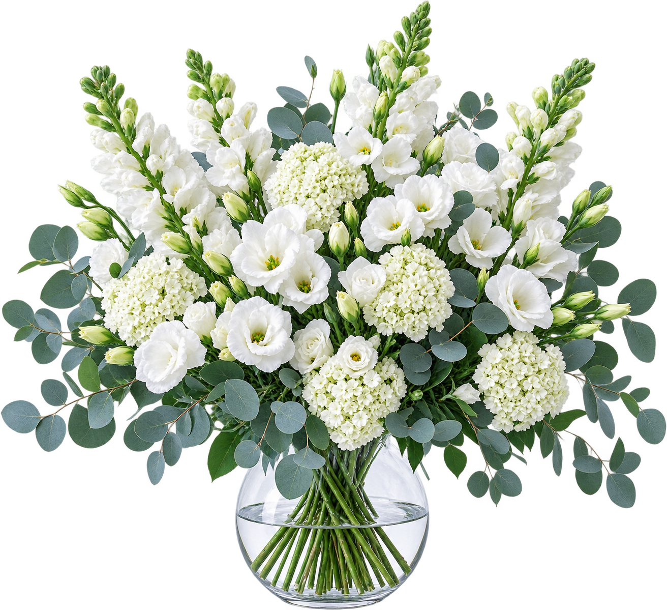 Lively Blossoms