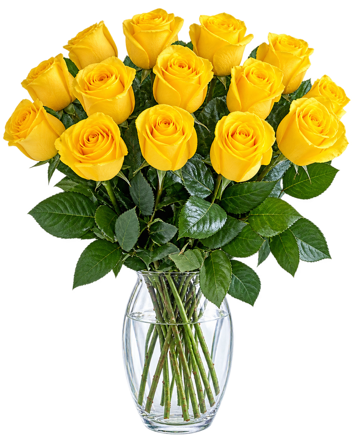 Elegant Blooms