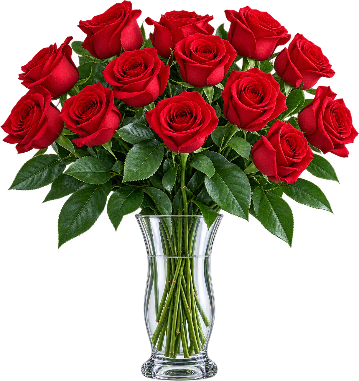 Twelve perfect roses