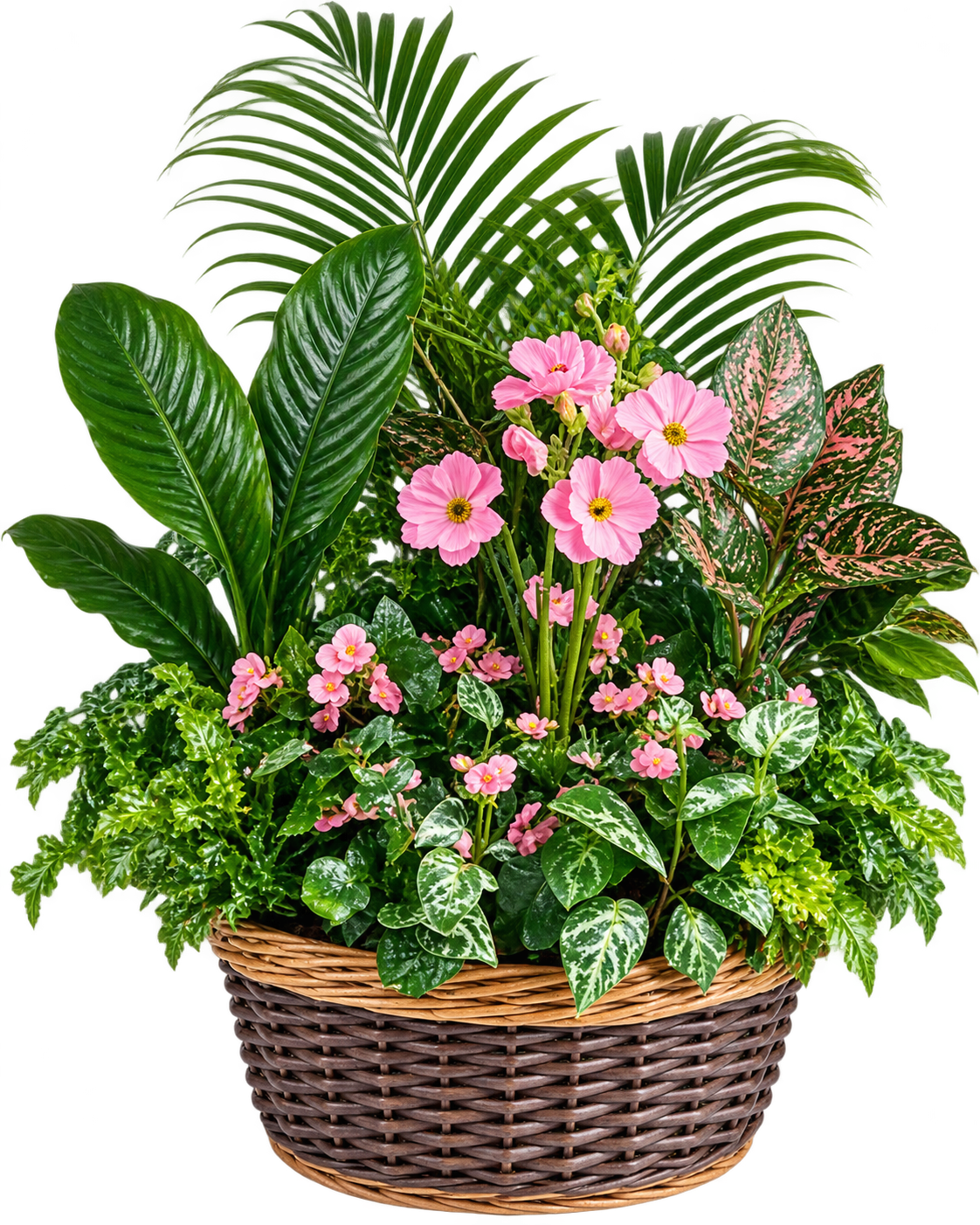 Jardin des Fleurs