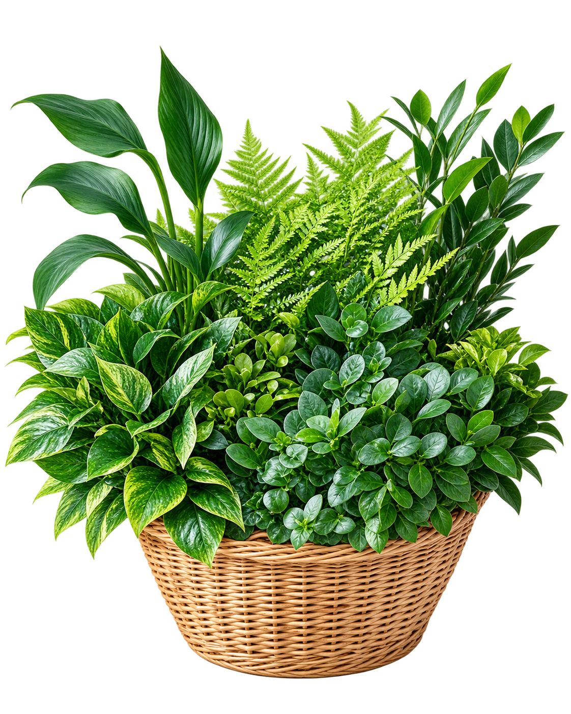 Exotic Arrangement